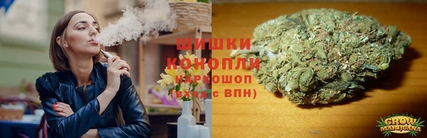 гашик Алзамай