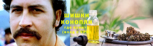 гашик Алексеевка