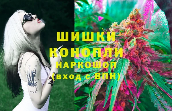 дживик Пестово