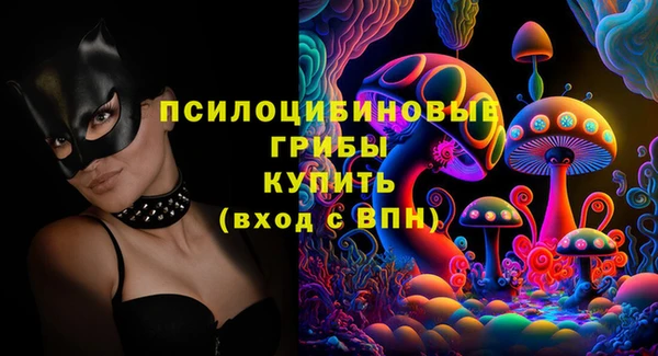 гашик Алексеевка